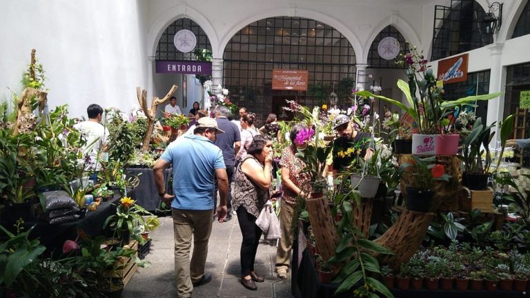 orquidarios-de-veracruz-mexico