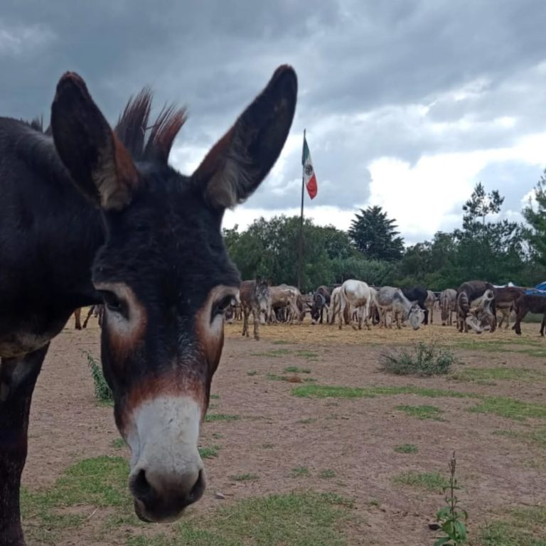 otumba-mexico-turismo-de-aventuras