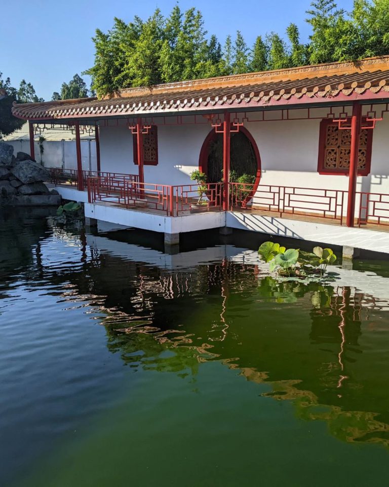 parque-china-chile-internacional-jardin