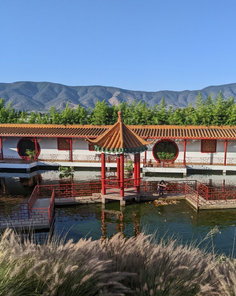 parque-china-chile-internacional-jardín
