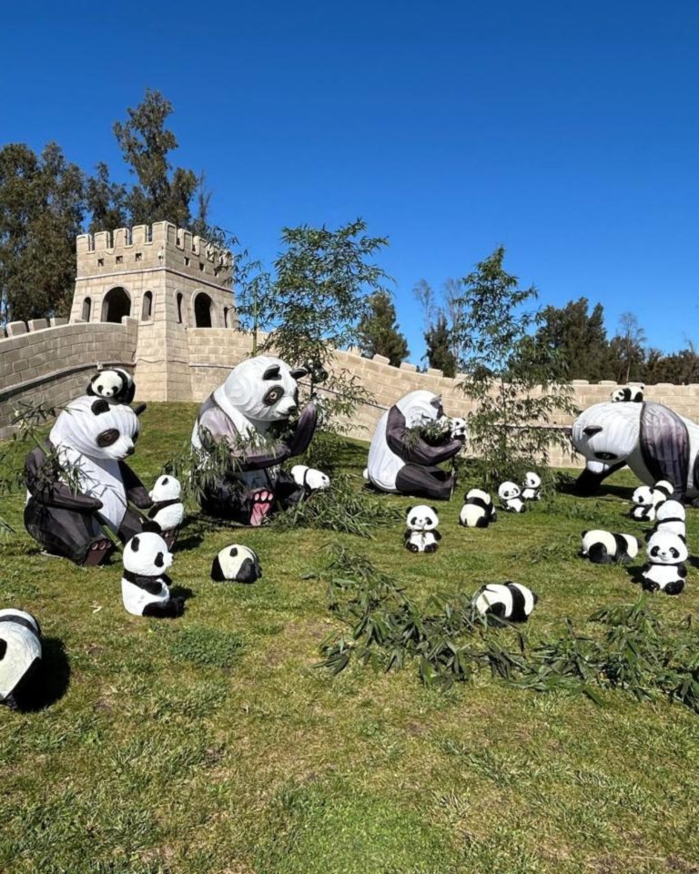 parque-china-en-chile-internacional-