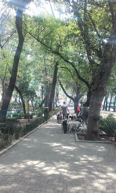 parque-españa-mex-turismo-vacaciones