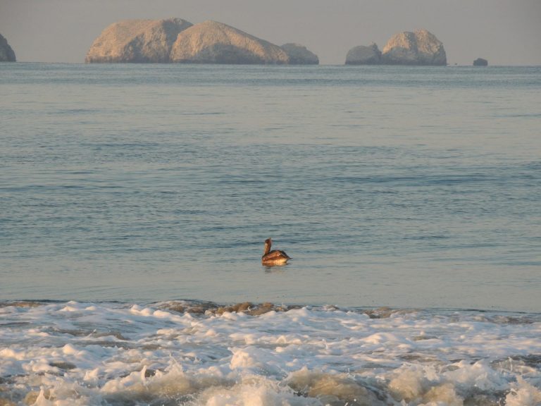 playa-blanca-malabo-africa