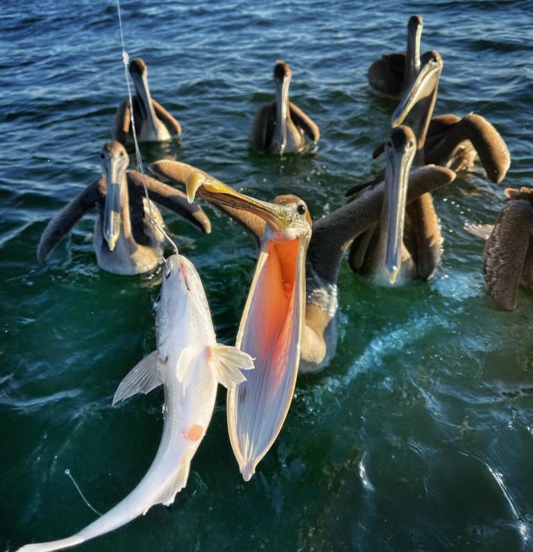 playa-colorada-sinaloa-mexico-turismo