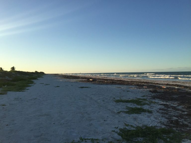 playa-el-cuyo-en-mexico