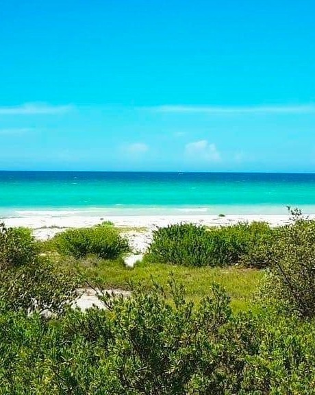 playas-de-mexico-turismo