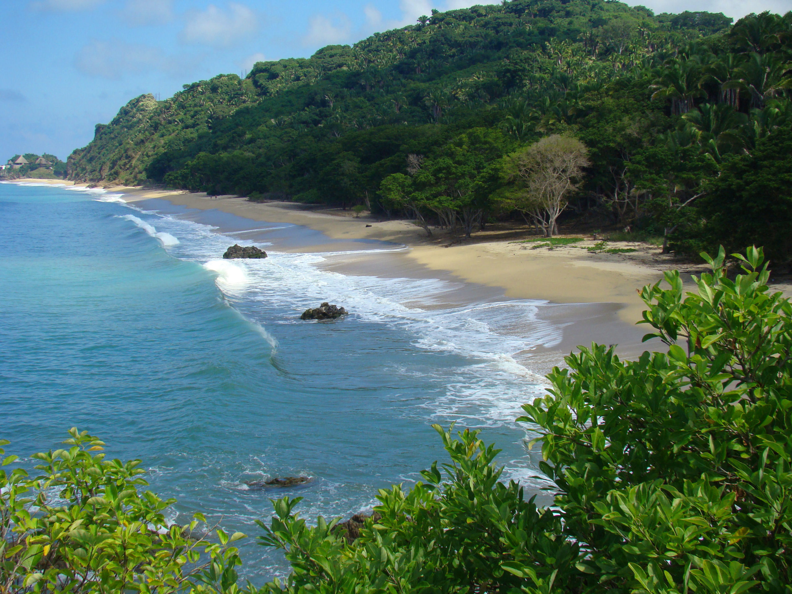 playas de nayarit en méxico imagenes ilustrativas