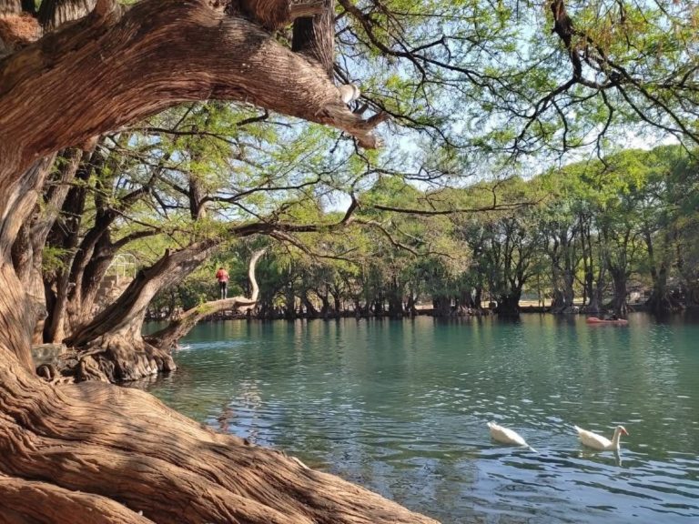 que-hacer-lago-de-camécuaro