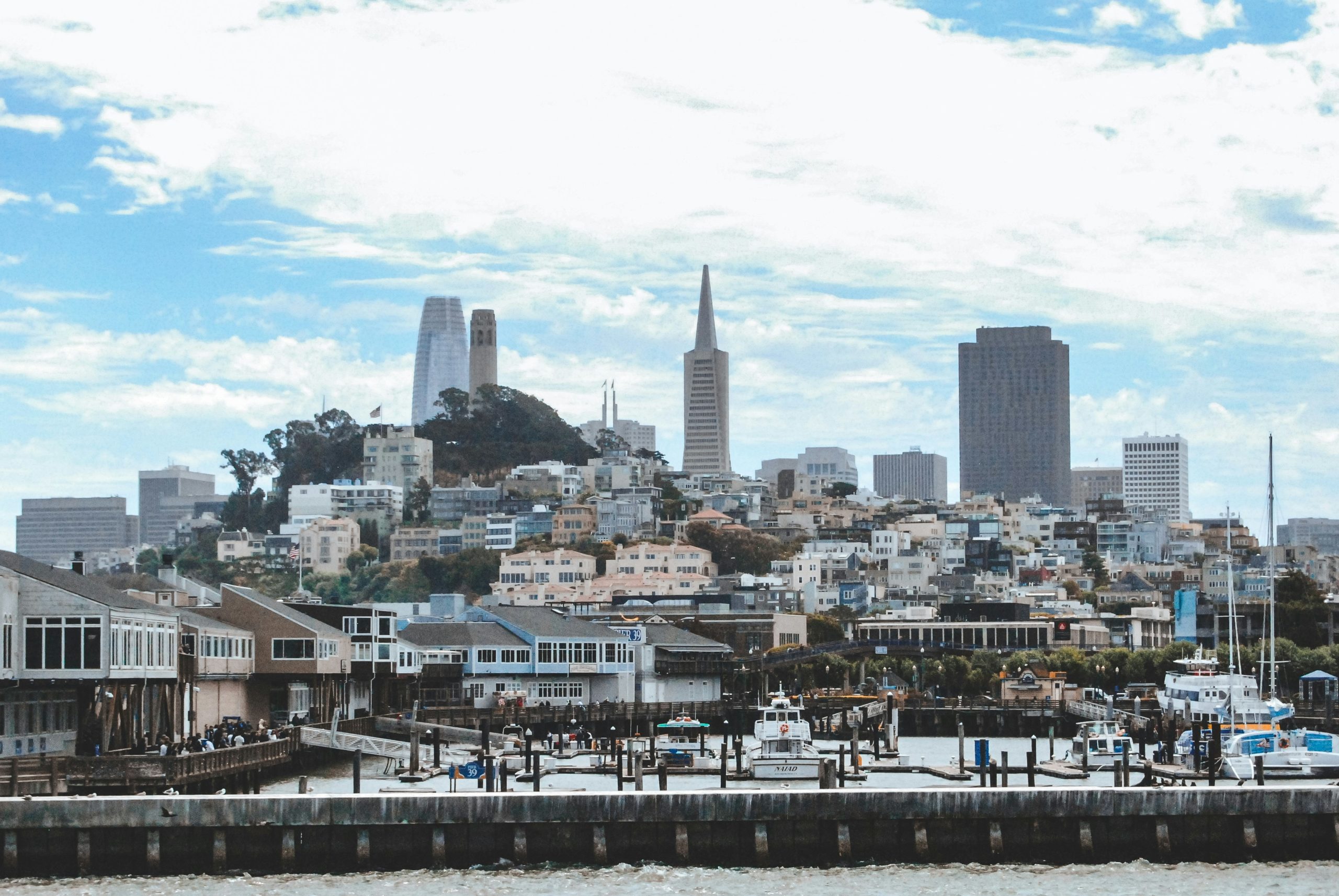 que hacer san francisco muelle 39