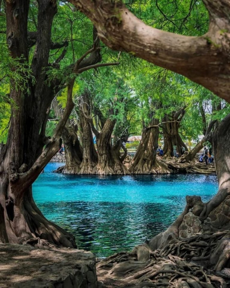 que-ver-lago-de-camécuaro