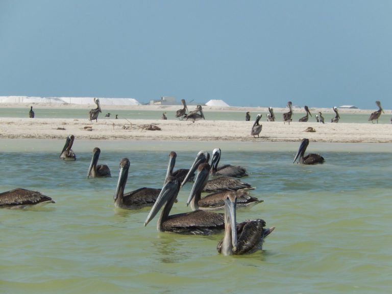 reserva-de-la-biosfera