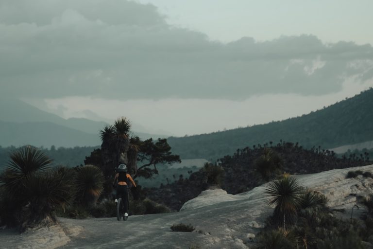 roxsuarez__1729873695_3486755736569418105_1162593932