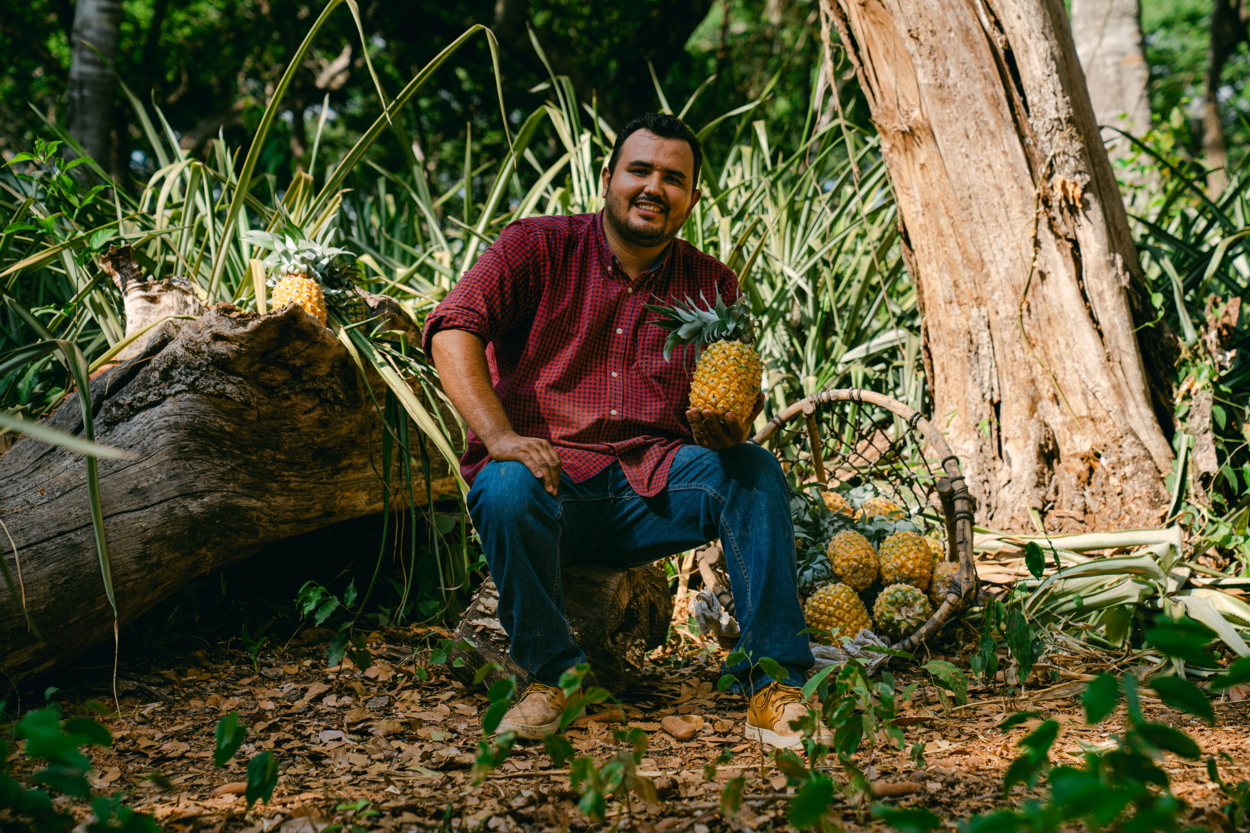 ruta de la piña nayarit