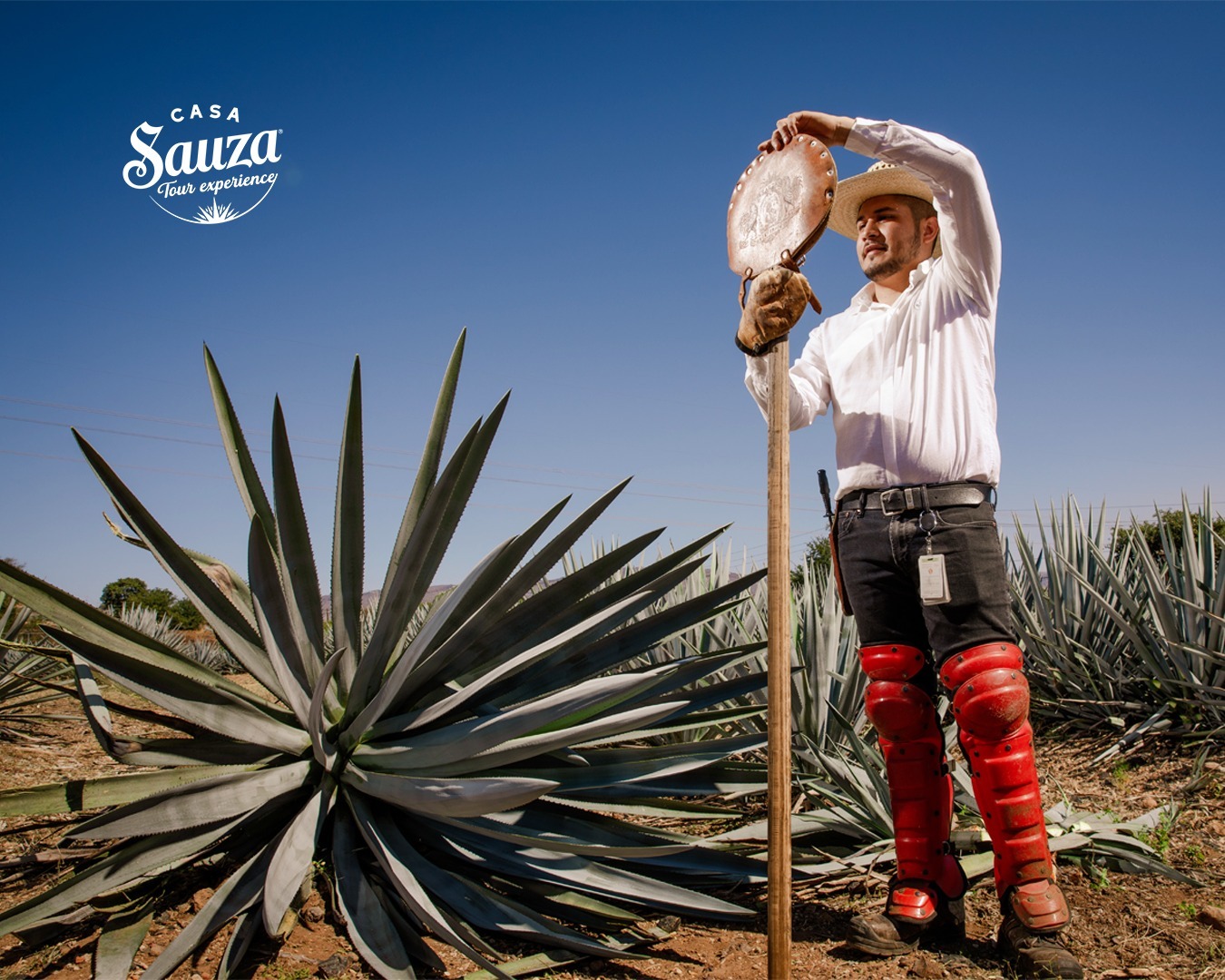 siembra casa sauza tequila jalisco