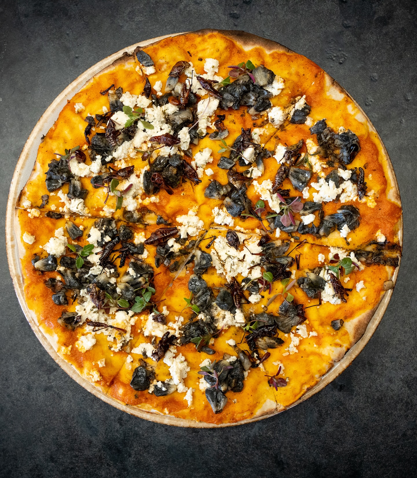 sotero pachuca hidalgo que ver