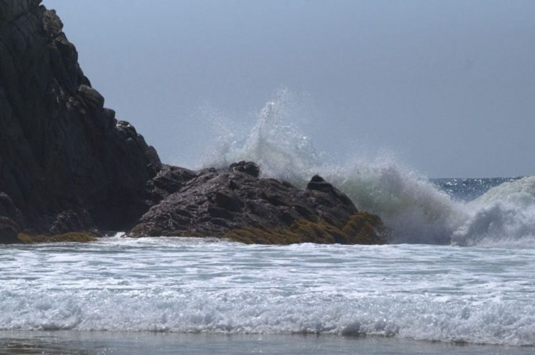 tortugas-pacífico-michoacán-deportes-olas