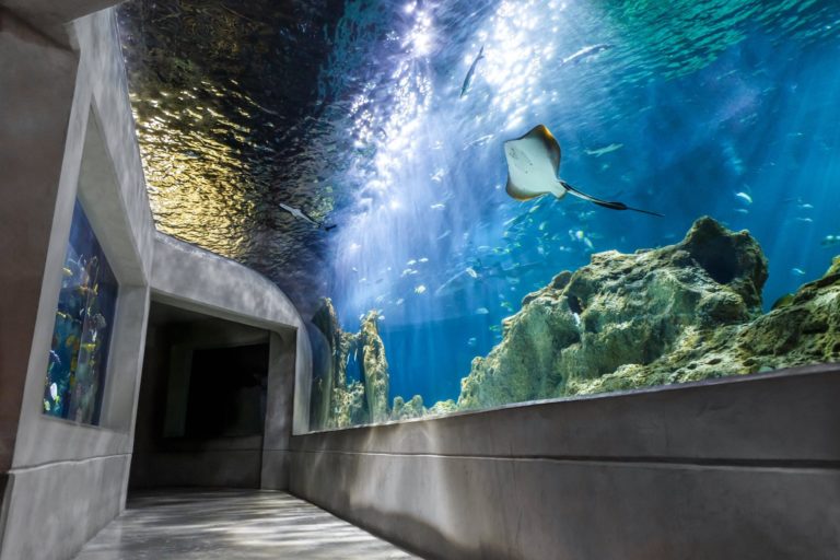 tunel-del-tiburon-mexico-turismo-aventuras