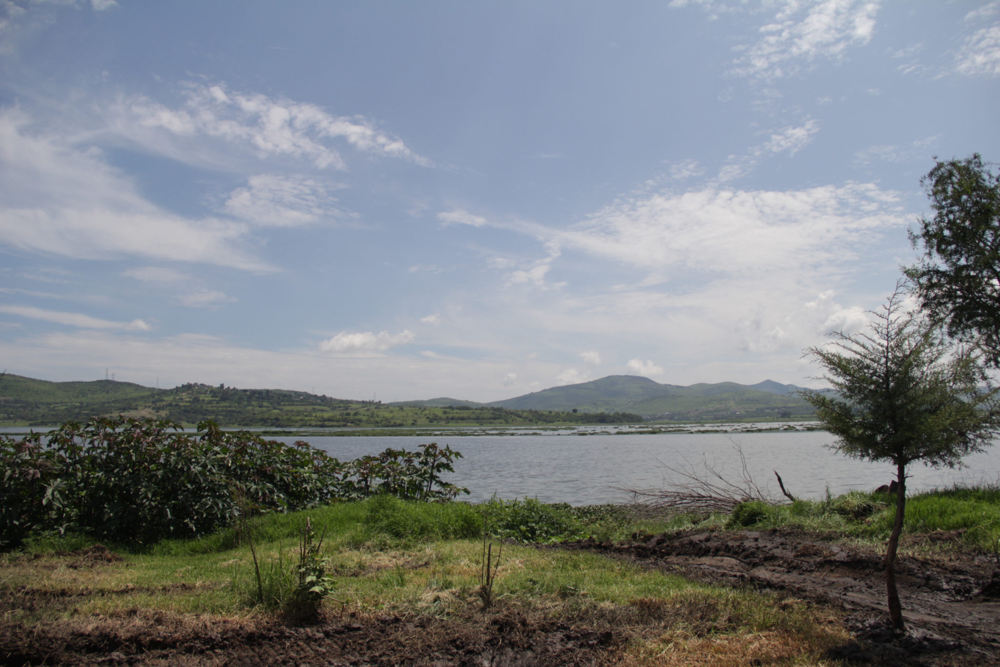 valsequillo puebla que hacer presa