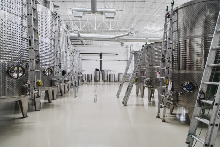 vendimicia-encinillas-en-chihuahua-produccion