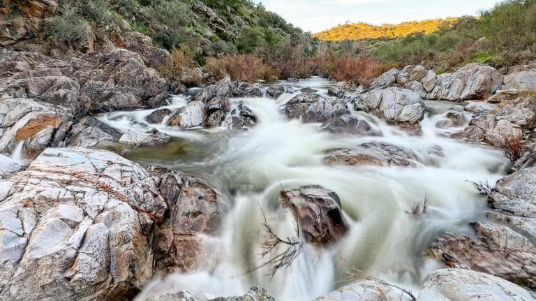 villanueva-del-rosario-mx