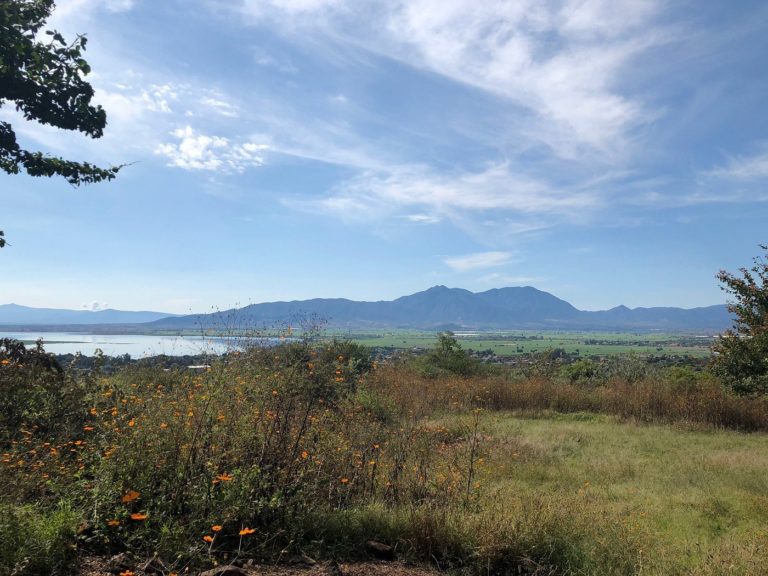 zona-arqueologica-de-jalisco-mexico