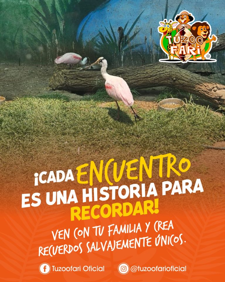 zoologico-pachuca-hidalgo-que-ver