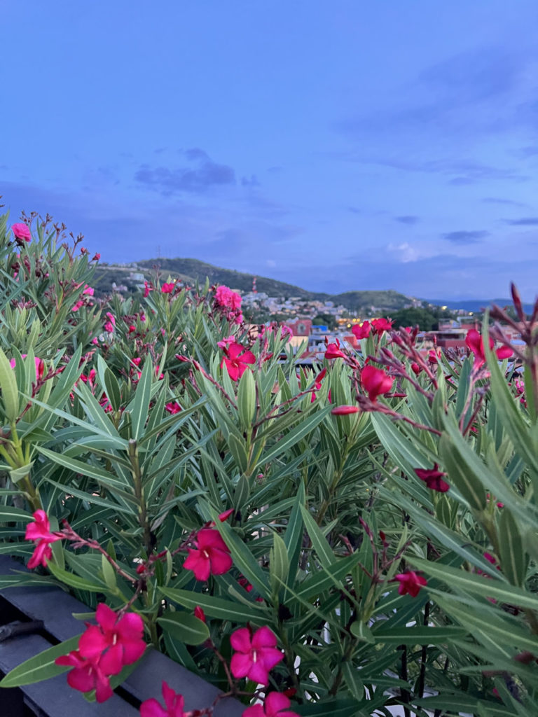 511921c9-san_miguel_de_allende_09-esp-1000×1333