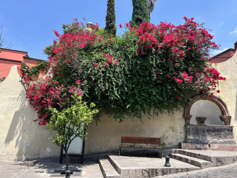 6fd74b40-san_miguel_de_allende_06-esp-1000×750