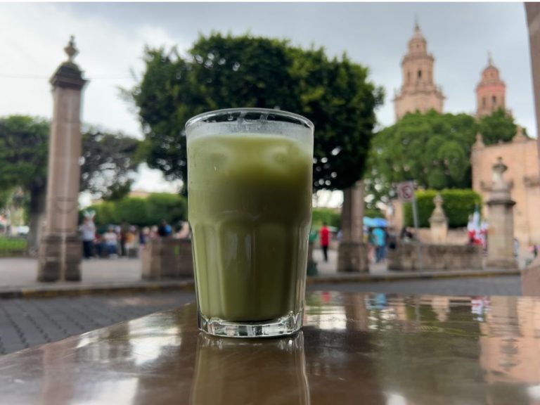 Agua de Aguacate3_11zon