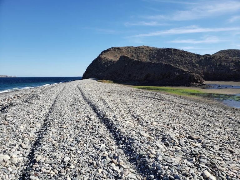 Bahia-de-los-Ángeles