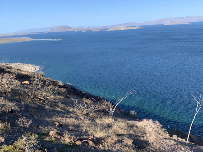 Bahía-de-los-Ángeles