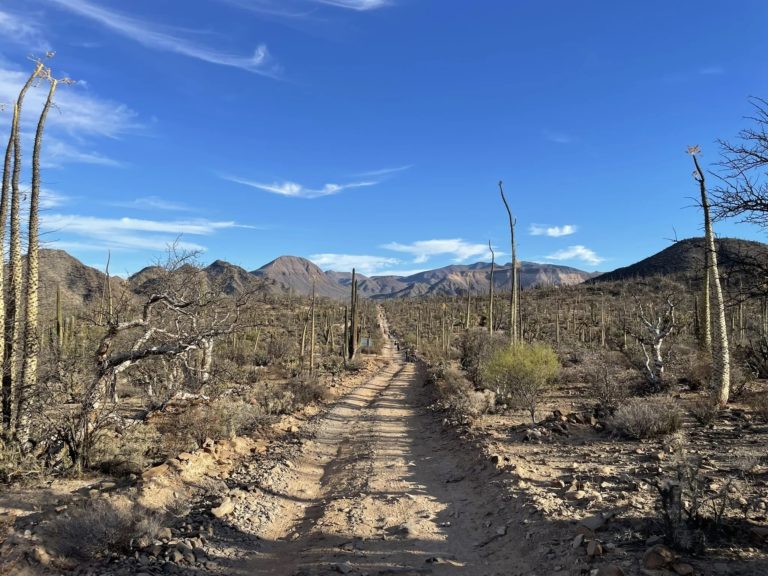 Bahía-de-los-angeles