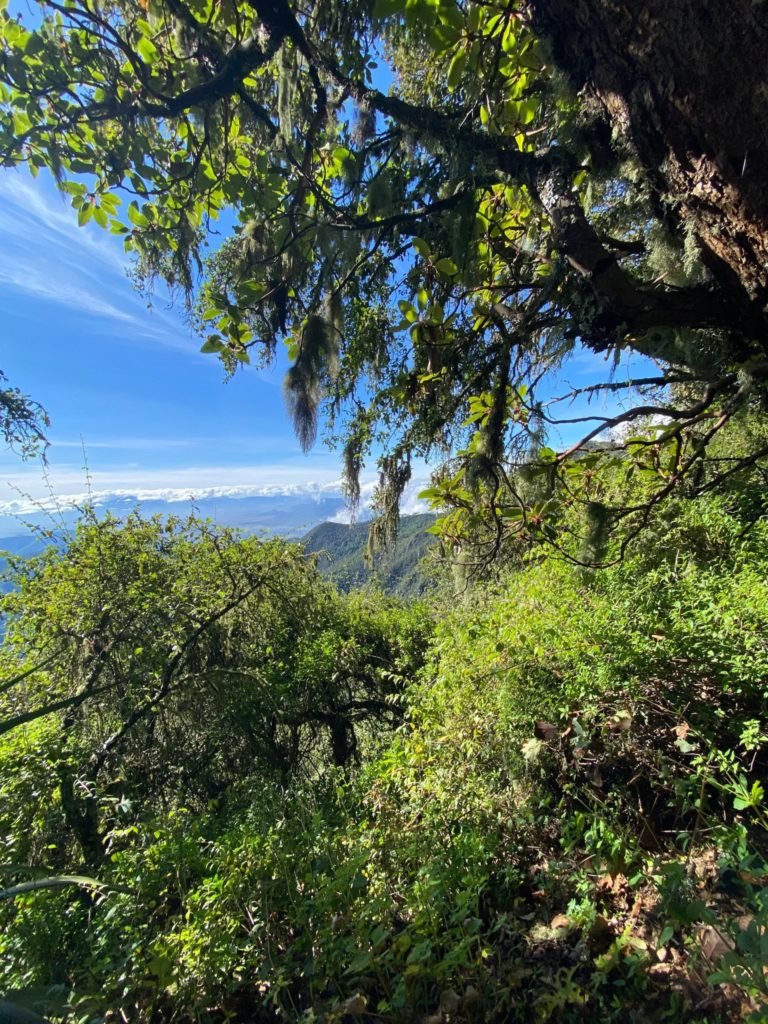 Cañada-León-Oaxaca-mexico