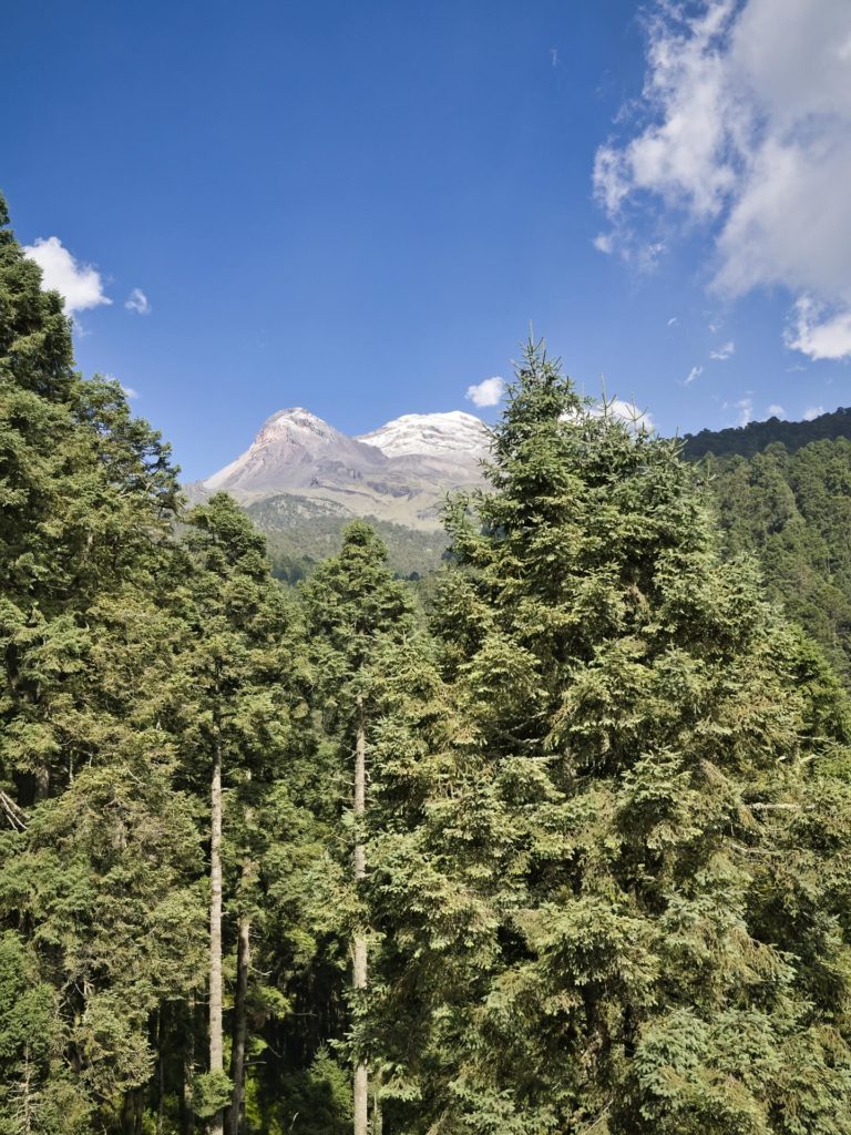 Cascada -ongelada-mex-turismo