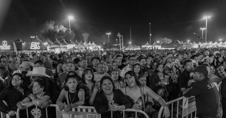 Chihuahua 4 festival