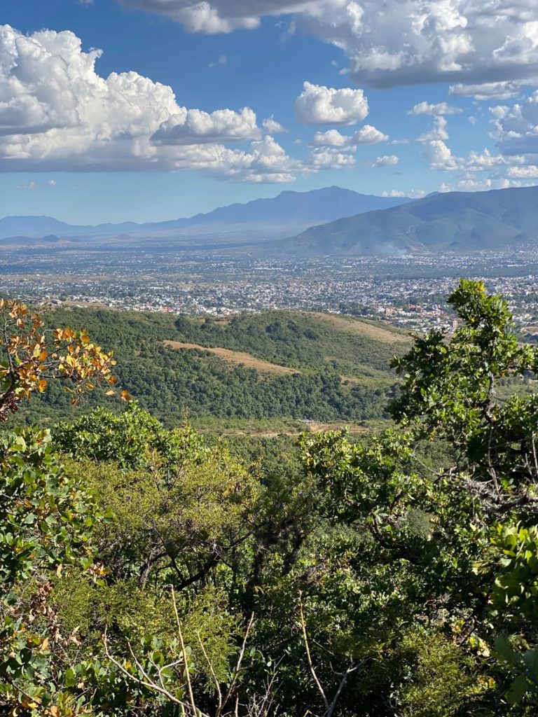 Circuito-La-Hojarasca-mex