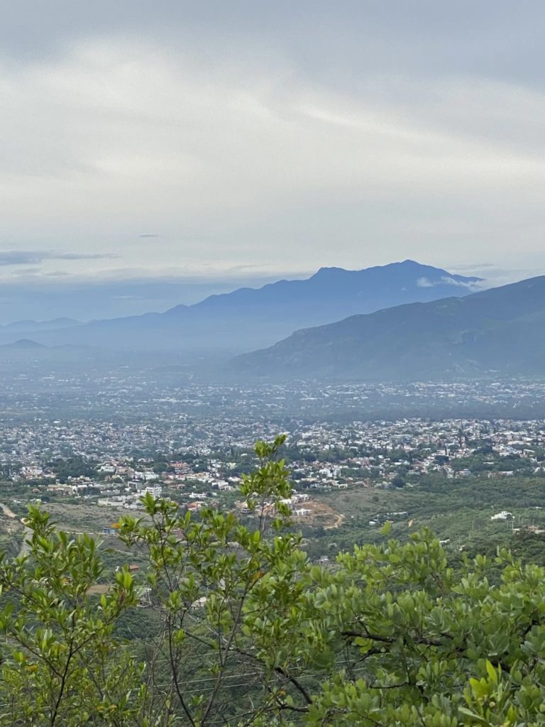 Circuito-La-Hojarasca-mexico