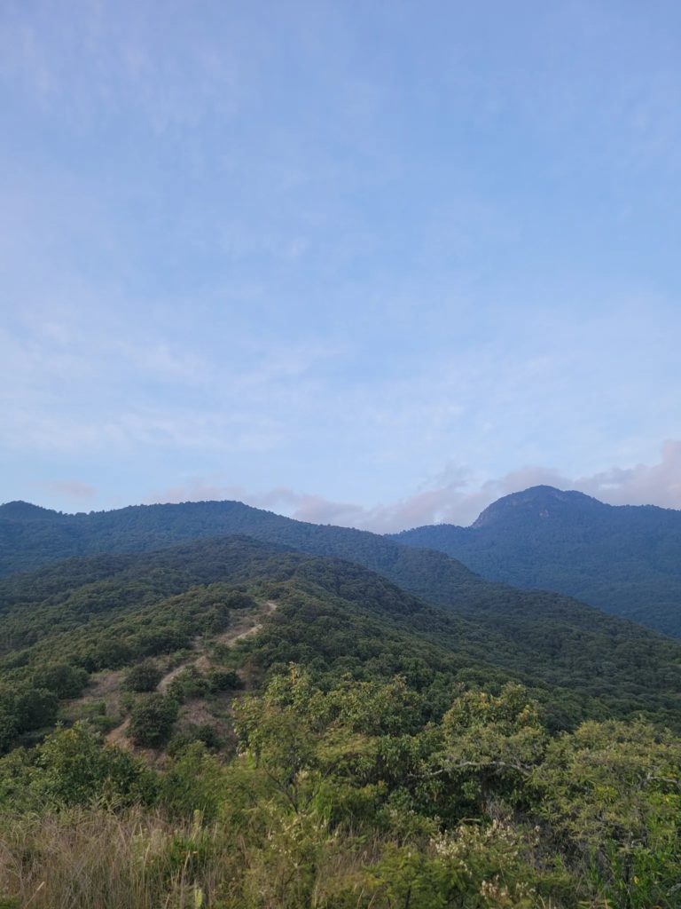 Circuito-La-Hojarasca-mx