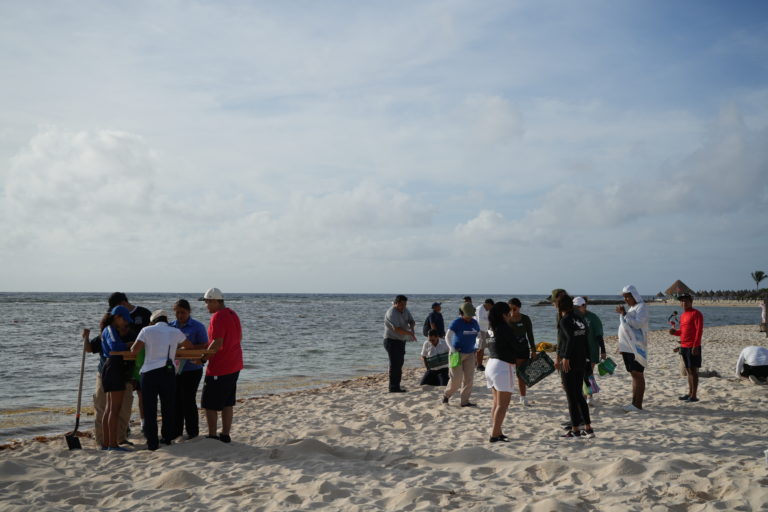 Turismo con impacto: la limpieza del Caribe