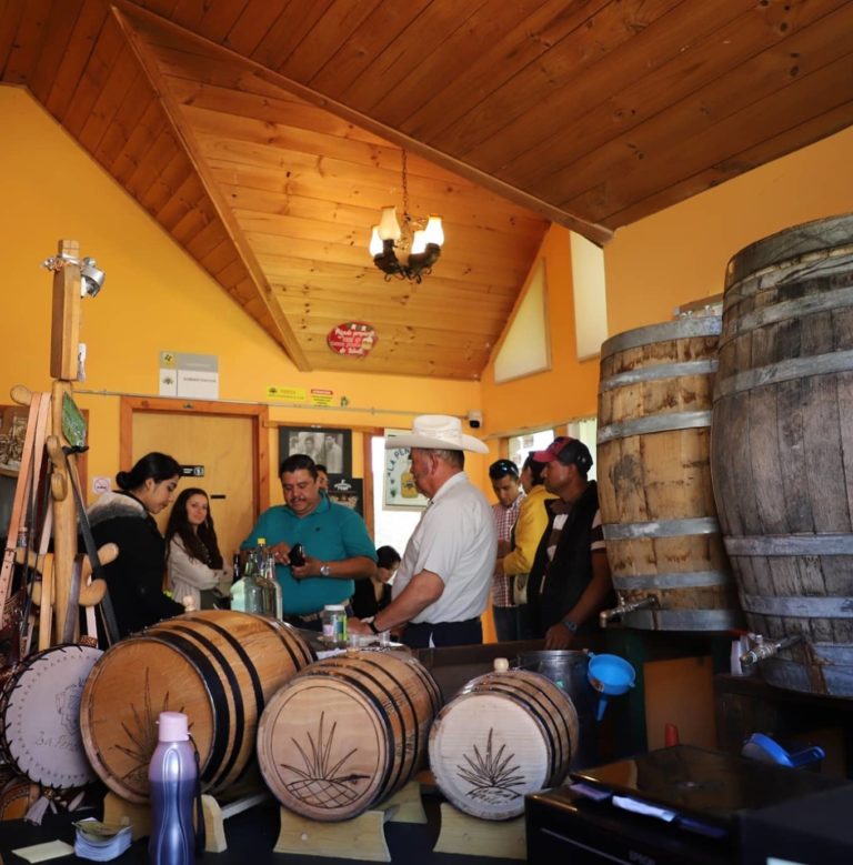 Haciendas-de-Pinos-mex-turismo