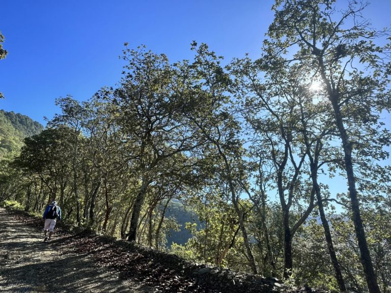 Huayapam-Ocote-Seco-oaxaca-mex