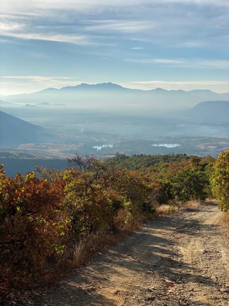 Huayapam-Ocote-Seco-oaxaca-mexico