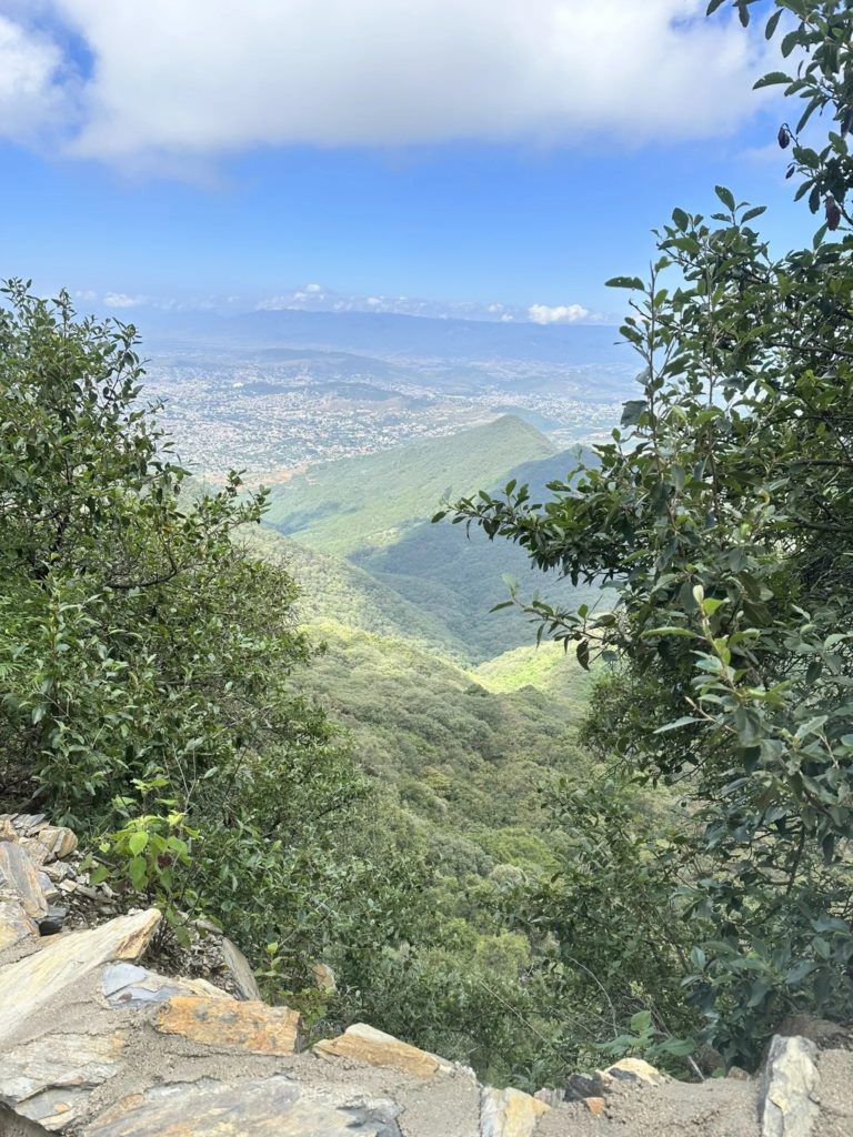 Huayapam-Ocote-Seco-oaxaca-mx