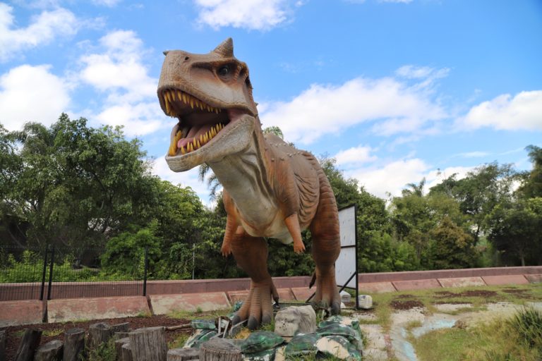 Dinoexcava: aventuras y ciencia entre fósiles en CDMX