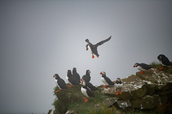 Isla-Mykines-turismo-internacional