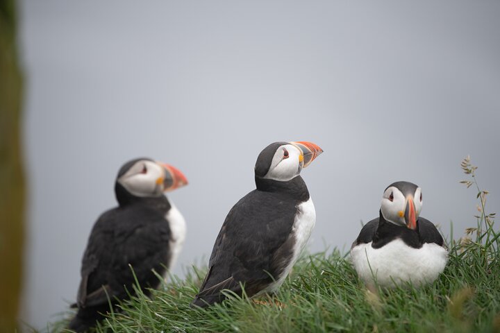 Isla-Mykines-turismo-vikingo