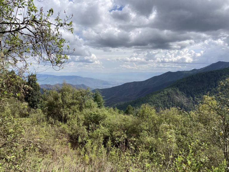 Ixtepeji-Ocote-Seco-Huayapam