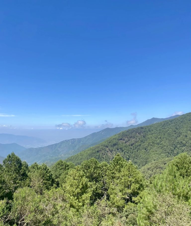 Ixtepeji-Ocote-Seco-Huayapam-mex