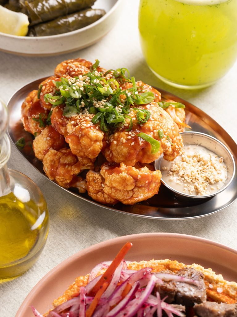 Kanesh-Kebab-mex-turismo