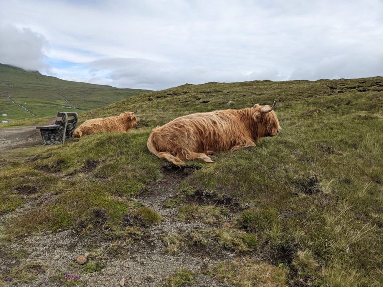Lago-Sørvágsvatn-vikingos-nordic
